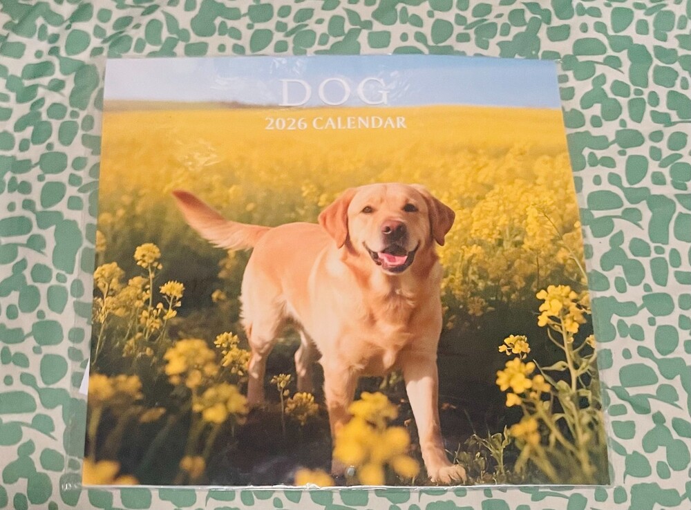 2026 Puppies Wall Calendar 12 x 12 and a 6 x 6 Travel Version - 2 Pack - New!